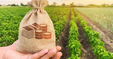 Допомога від міжнародних партнерів для фермерів та інших виробників сільськогосподарської продукції