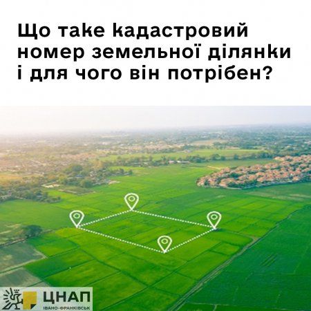 Що таке кадастровий номер земельної ділянки і для чого він потрібен?