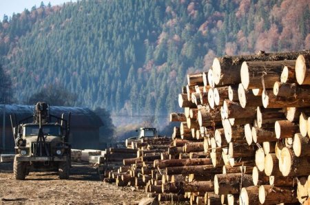 Збільшено кількість адміністративних послуг, які надаються Західним міжрегіональним управлінням лісового та мисливського господарства через Центр надання адміністративних послуг м. Івано-Франківська
