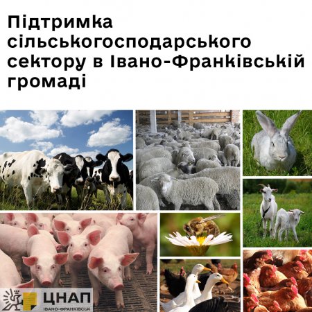 Підтримка сільськогосподарського сектору в Івано-Франківській громаді